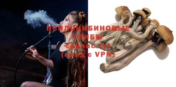 стафф Алзамай