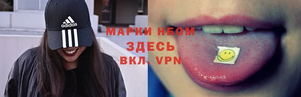 ПСИЛОЦИБИНОВЫЕ ГРИБЫ Алексин