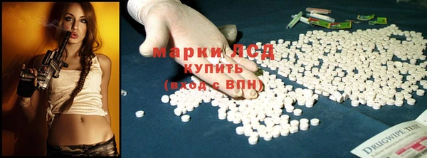 ПСИЛОЦИБИНОВЫЕ ГРИБЫ Алексин