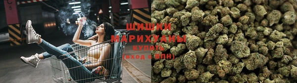 стафф Алзамай