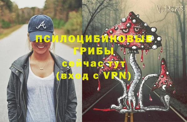 ПСИЛОЦИБИНОВЫЕ ГРИБЫ Алексин